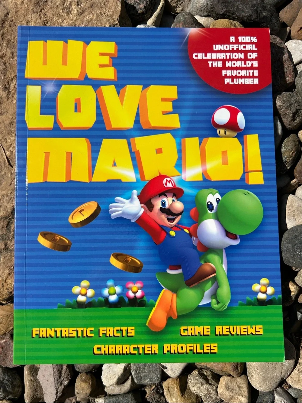 Nintendo we love